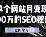 单个网站月变现100万的SEO秘密,百分百做出赚钱站点-铭创资源库