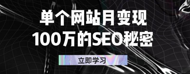 单个网站月变现100万的SEO秘密，百分百做出赚钱站点-铭创资源库