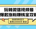 玩转微信视频号爆款涨粉赚钱全攻略,快速涨粉百万变现万元秘诀-铭创资源库
