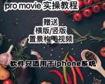 漆十二美食摄影,25节promovie实操高手课节-铭创资源库