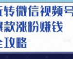 玩转微信视频号爆款涨粉赚钱全攻略,让你快速抓住流量风口,收获红利财富-铭创资源库
