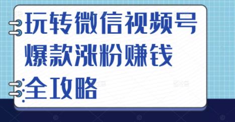 玩转微信视频号爆款涨粉赚钱全攻略，让你快速抓住流量风口，收获红利财富-铭创资源库