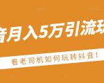 老古董·抖音月入5万引流玩法,看看老司机如何玩转抖音(附赠:抖音另类引流思路)-铭创资源库