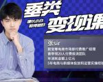 张sir·垂类变现课,抖音带货新手才看粉丝量,高手都看变现效率-铭创资源库