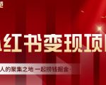 渣圈学苑·小红书虚拟资源变现项目,一起捞钱掘金价值1099元-铭创资源库