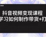 抖音短视频变现课程:带你学习如何制作带货+打造IP【41节】-铭创资源库