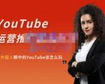 外国人眼中的YouTube该怎么玩?Elisa·YouTube运营推广实战技巧-铭创资源库