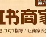 贾真-小红书商家营第6期商家版,21天带货陪跑课,让商家丢掉付流量-铭创资源库