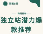 【跨境B哥】独立站潜力爆款选品推荐,测款出单率高达百分之80-铭创资源库