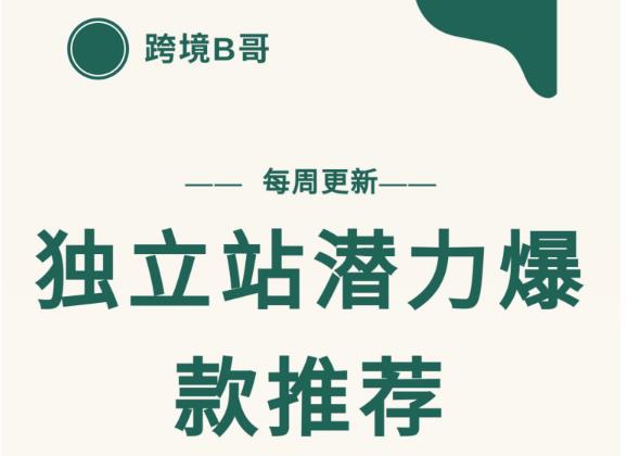 【跨境B哥】独立站潜力爆款选品推荐，测款出单率高达百分之80-铭创资源库