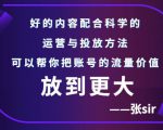 张sir账号流量增长课,告别海王流量,让你的流量更精准-铭创资源库