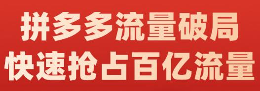 阿杰·拼多多流量破局:如何打黑标，爆款的思路，拼多多流量框架，快速抢占百亿流量-铭创资源库