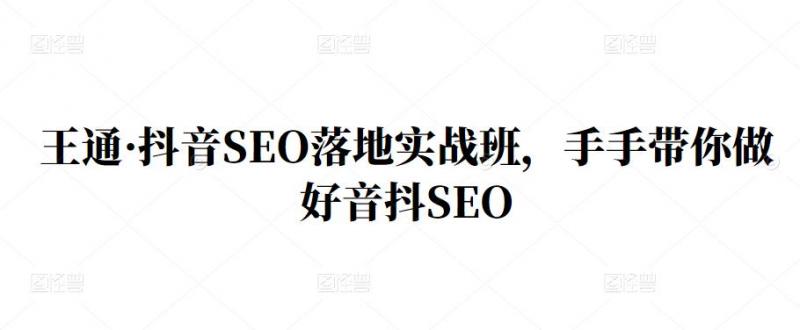 王通·抖音SEO落地实战班，手‬手带你做好音抖‬‬SEO-铭创资源库