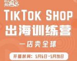 疯人院:TikTok Shop出海训练营(一店卖全球),出海抢占全球新流量-铭创资源库