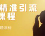 soul精准引流系列课程,每天引流100精准粉-铭创资源库
