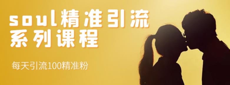 soul精准引流系列课程，每天引流100精准粉-铭创资源库