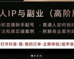 一舟一课个人IP与副业(高阶版),短视频和直播新手起号-普通人如何做好个人IP-铭创资源库