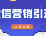 微信营销策划引流系列课程,每天引流100精准粉-铭创资源库