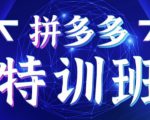 星雪教育·拼多多基础班+进阶班+突破班,用系统的学习模式快速改变现状价值3580元-铭创资源库