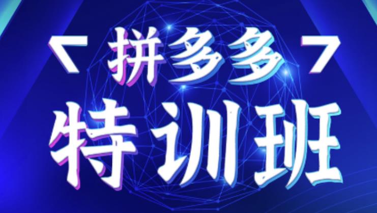 星雪教育·拼多多基础班+进阶班+突破班，用系统的学习模式快速改变现状价值3580元-铭创资源库
