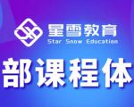 星雪教育淘系高级班,更全的运营提升方案,零基础由浅入深,店铺最新玩法-铭创资源库