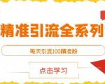 闲鱼精准引流全系列课程,每天引流100精准粉【视频课程】-铭创资源库
