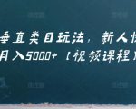 虚拟项目垂直类目玩法,新人快速起店,月入5000+【视频课程】-铭创资源库