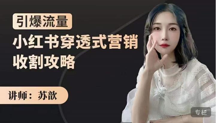苏歆：小红书穿透式营销收割攻略，引爆流量，助你玩转小红书-铭创资源库