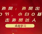 业仔外贸:外贸出口详解30节,小白0基础进击外贸达人 价值666元-铭创资源库