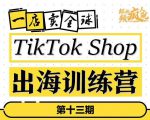 TikTokShop出海训练营(第十三期),打开全球流量新思维,出海抢占全球新流量,一店卖全球-铭创资源库