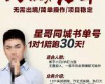 星哥同城教育书单号课程,无需出境简单操作项目稳定-铭创资源库