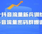 Peter抖音流量新兵训练营-破解抖音流量密码群爆训练营(新兵)-铭创资源库