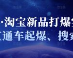 凌童·淘宝新品打爆实战班,直通车起爆、搜索起爆-铭创资源库