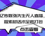 聚亿传媒张先生无人直播,教程素材话术全套打包-铭创资源库