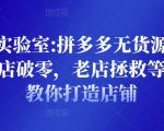 野路子实验室:拼多多无货源店群项目,新店破零,老店拯救等全方位教你打造店铺-铭创资源库