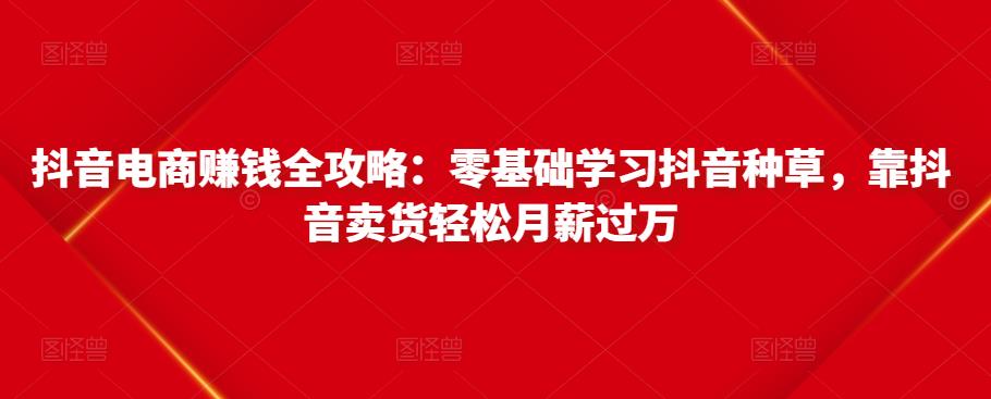 抖音电商赚钱全攻略：零基础学习抖音种草，靠抖音卖货轻松月薪过万-铭创资源库