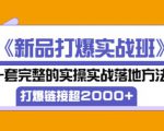 凌童《新品打爆实战班》,一套完整的实操实战落地方法,打爆链接超2000+(28节课)-铭创资源库