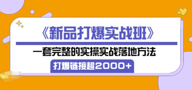 凌童《新品打爆实战班》,一套完整的实操实战落地方法，打爆链接超2000+（28节课)-铭创资源库