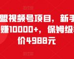 猎人联盟视频号项目,新手0基础轻松月赚10000+,保姆级教程原价4988元-铭创资源库