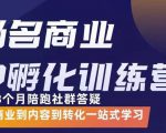 杨名商业IP孵化训练营,从商业到内容到转化一站式学 价值5980元-铭创资源库