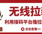 最新接码无限拉新项目,利用接码平台赚拉新平台差价,轻松日赚500+-铭创资源库
