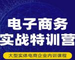 民赛电气内部出品:电子商务实战特训营,全方位带你入门电商,308种方式玩转电商-铭创资源库