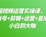 晨哥·短视频运营实操课,一部手机,账号+剪辑+运营+直播,从小白到大咖-铭创资源库