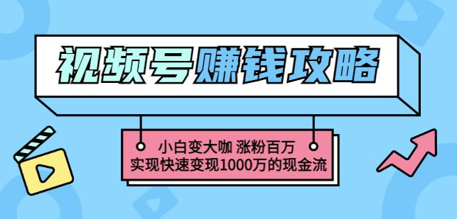 玩转微信视频号赚钱：小白变大咖涨粉百万实现快速变现1000万的现金流-铭创资源库
