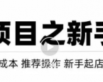虚拟项目快速起店模式,0成本打造月入几万虚拟店铺!-铭创资源库