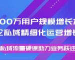 8000万用户规模增长方法论私域精细化运营增长,私域流量硬课助力业务跃迁-铭创资源库