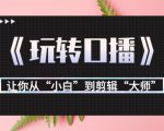 月营业额700万+大佬教您《玩转口播》让你从“小白”到剪辑“大师”-铭创资源库
