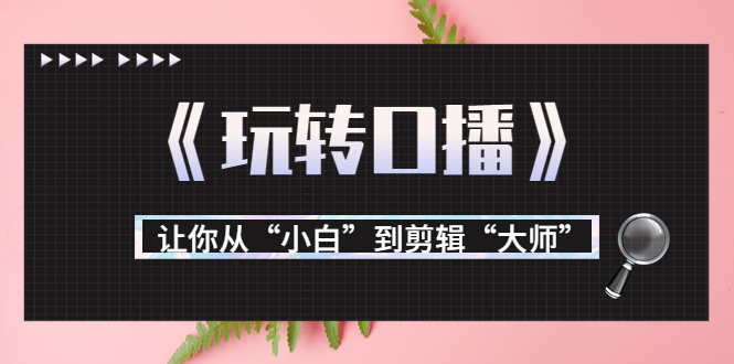月营业额700万+大佬教您《玩转口播》让你从“小白”到剪辑“大师”-铭创资源库