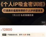 个人IP吸金密训班,打造高价值高效率的个人IP内容体系(价值12800元)-铭创资源库