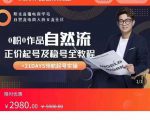 0粉0作品自然流正价起号及稳号全教程,专业自然流起号机构流程化教学(价值2980元)-铭创资源库